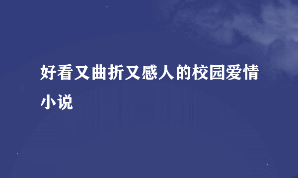 好看又曲折又感人的校园爱情小说