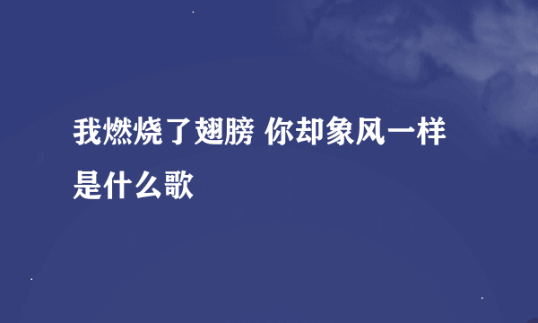 我燃烧了翅膀 你却象风一样是什么歌