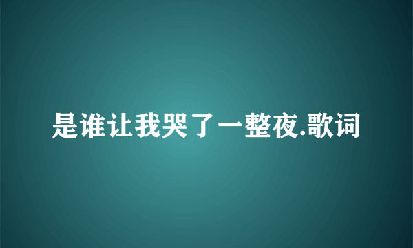 是谁让我哭了一整夜.歌词