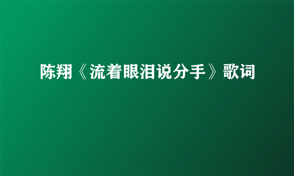 陈翔《流着眼泪说分手》歌词