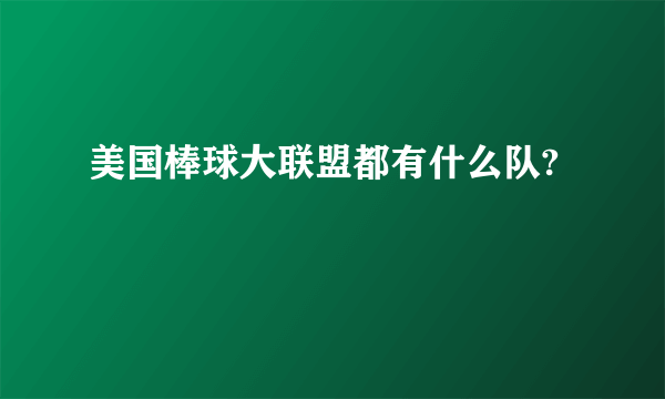 美国棒球大联盟都有什么队?