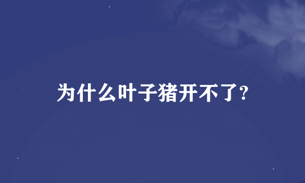 为什么叶子猪开不了?