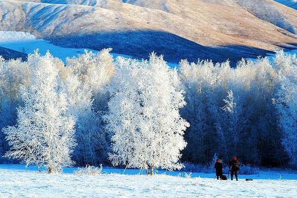 瑞雪兆丰年，前一句是什么？