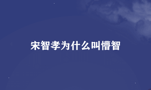 宋智孝为什么叫懵智