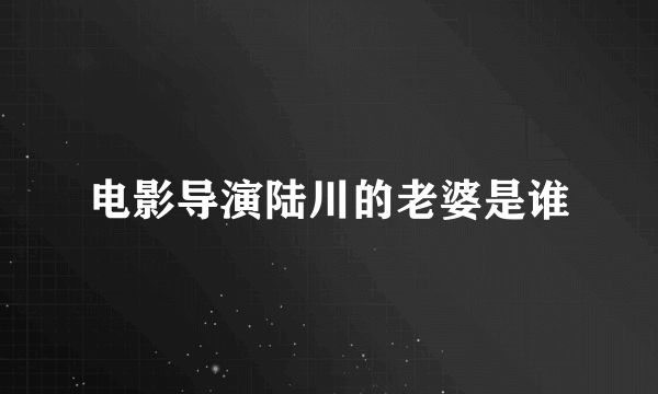 电影导演陆川的老婆是谁