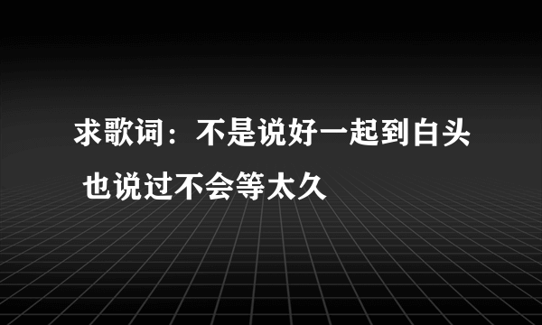 求歌词：不是说好一起到白头 也说过不会等太久