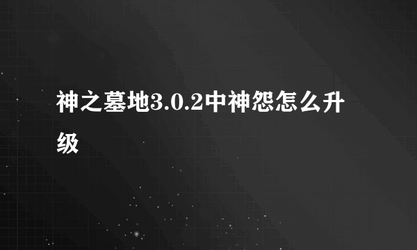 神之墓地3.0.2中神怨怎么升级