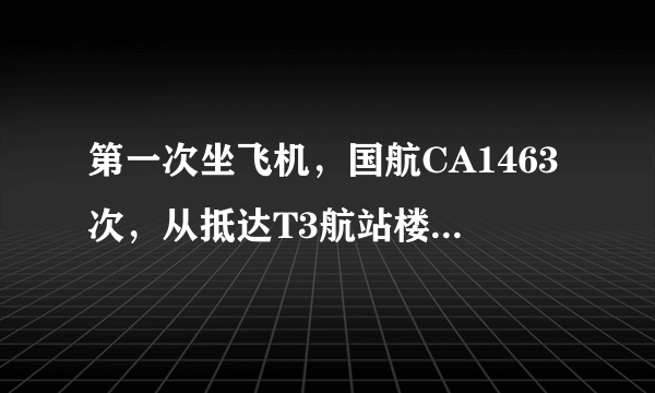 第一次坐飞机，国航CA1463次，从抵达T3航站楼开始整个过程该怎么做，什么个流程，该注意什么？