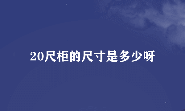 20尺柜的尺寸是多少呀