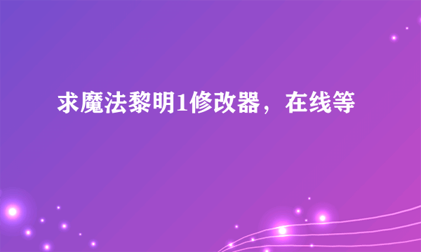 求魔法黎明1修改器，在线等