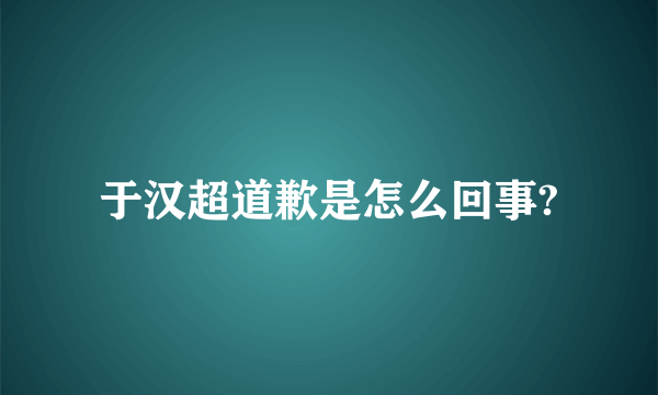 于汉超道歉是怎么回事?