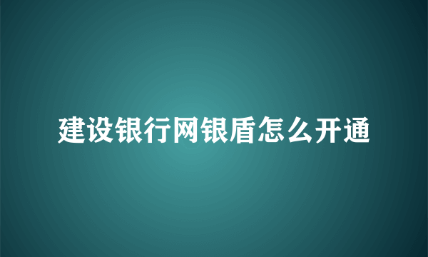 建设银行网银盾怎么开通