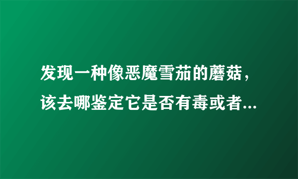 发现一种像恶魔雪茄的蘑菇，该去哪鉴定它是否有毒或者药用价值？