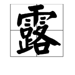 “露”多音字注音并组词