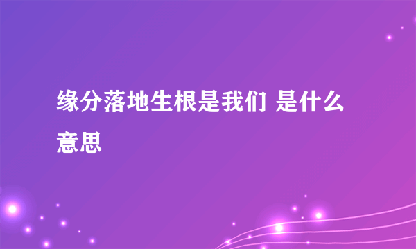 缘分落地生根是我们 是什么意思