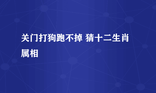 关门打狗跑不掉 猜十二生肖属相