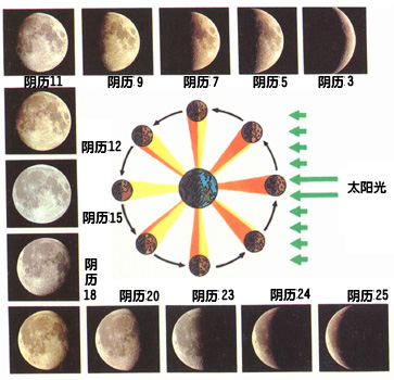 求月亮的变化规律的教学图片，谢谢