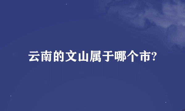 云南的文山属于哪个市?