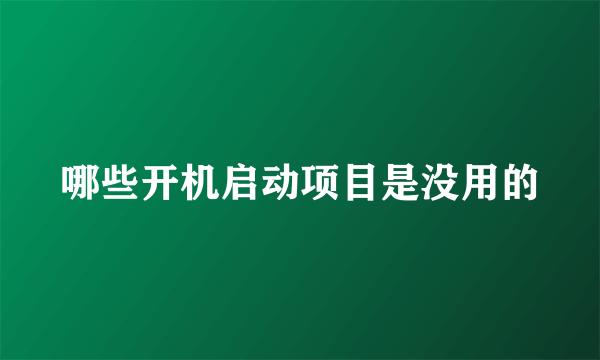 哪些开机启动项目是没用的