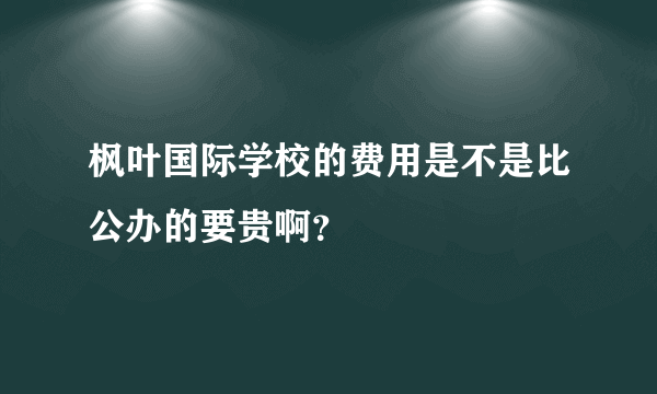 枫叶国际学校的费用是不是比公办的要贵啊？