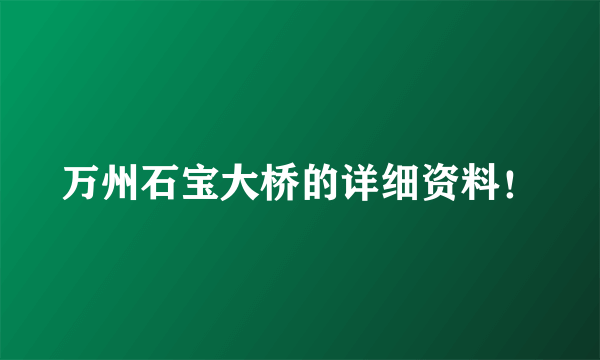 万州石宝大桥的详细资料！