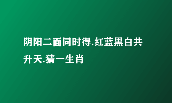 阴阳二面同时得.红蓝黑白共升天.猜一生肖