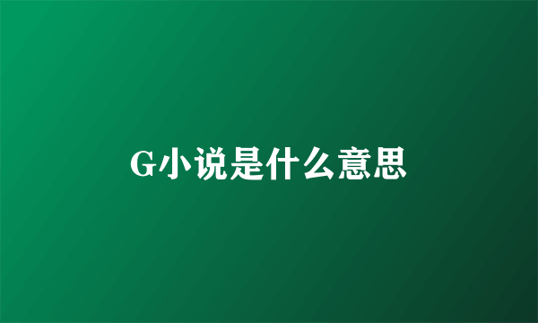 G小说是什么意思