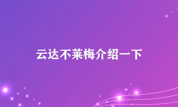 云达不莱梅介绍一下