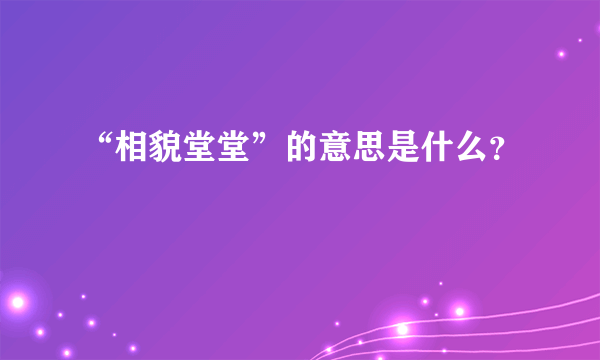 “相貌堂堂”的意思是什么？