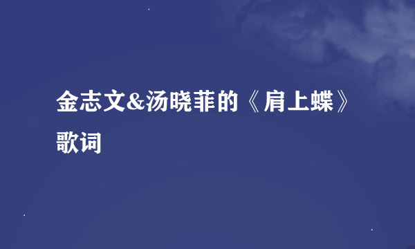 金志文&汤晓菲的《肩上蝶》 歌词