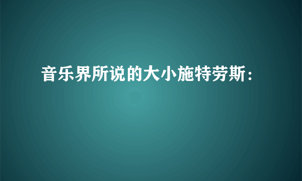 音乐界所说的大小施特劳斯：