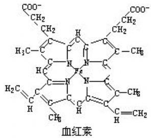 血红素高是怎么回事？