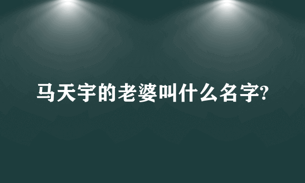 马天宇的老婆叫什么名字?