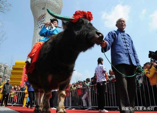 今年三号几点打春