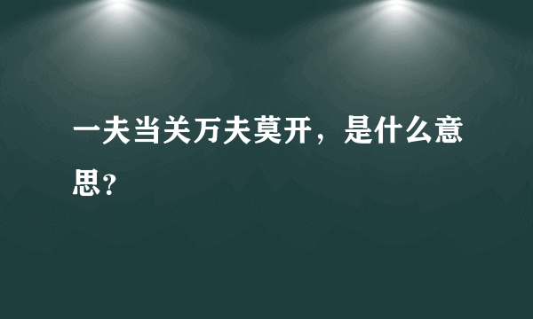 一夫当关万夫莫开，是什么意思？