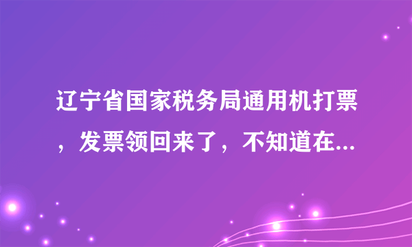 辽宁省国家税务局通用机打票，发票领回来了，不知道在哪里开。