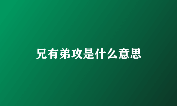 兄有弟攻是什么意思