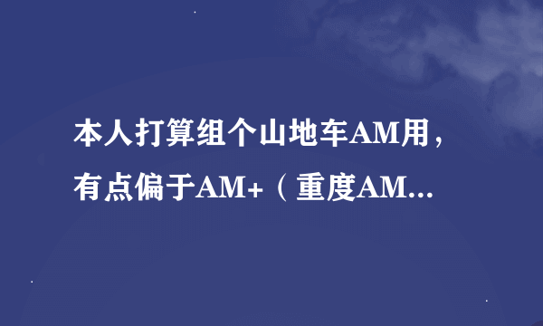 本人打算组个山地车AM用，有点偏于AM+（重度AM），请富有经验的大哥们帮帮小弟，价位4万以下，YETI575架子