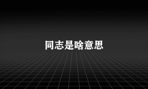 同志是啥意思